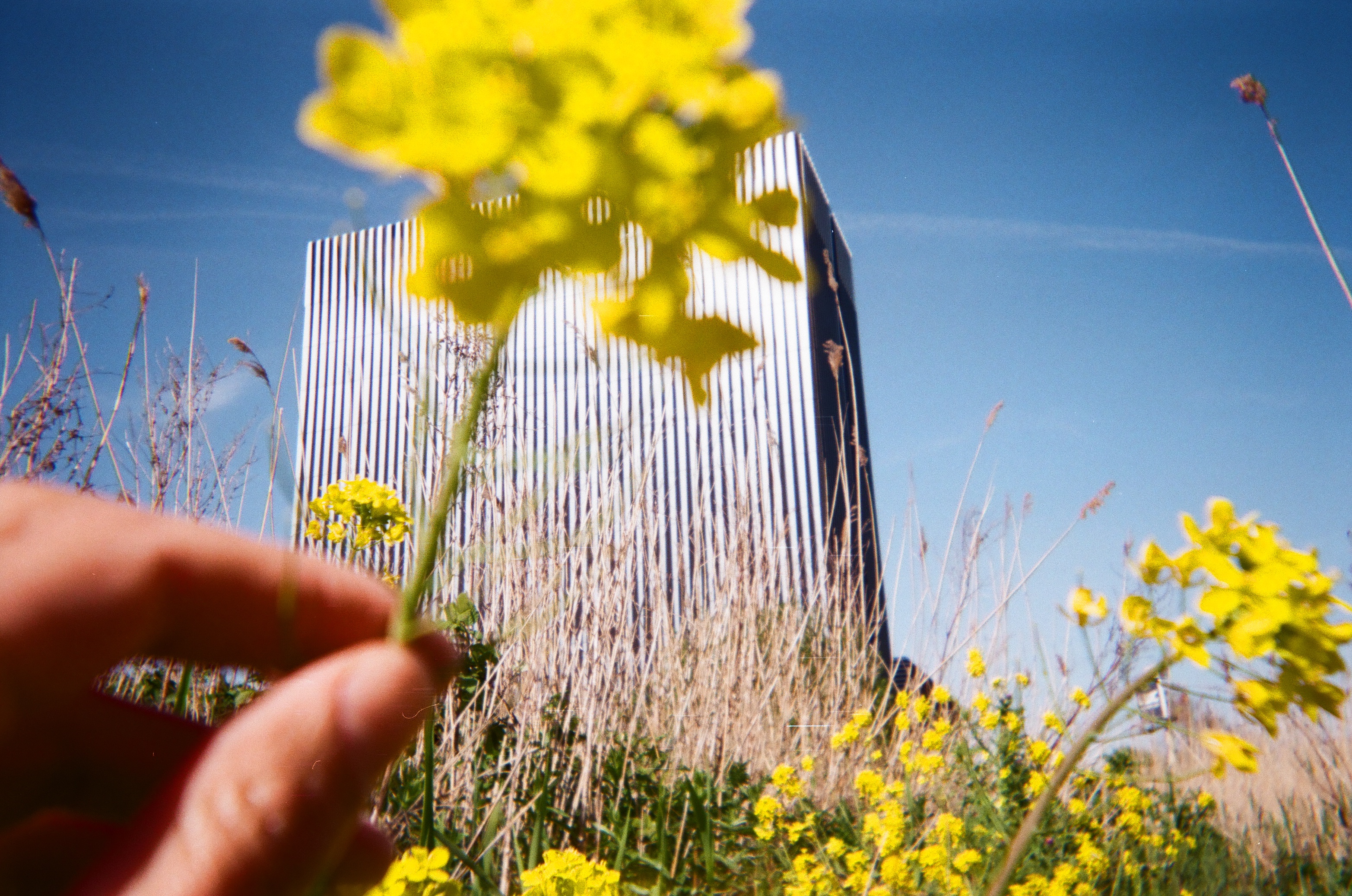 Bloem met data center op de achtergrond